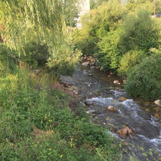 Шале Etno smjestaj ,,Bjelasica' Колашин-68
